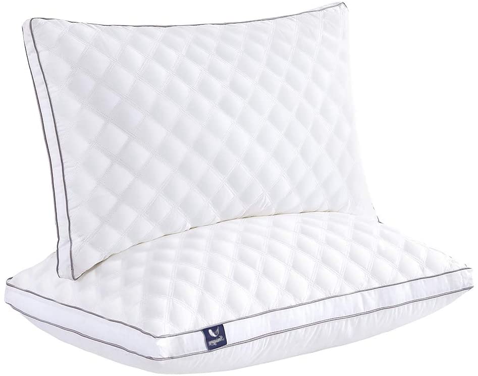 Queen Pillows for Sleeping 2 Pack Desi Shopper